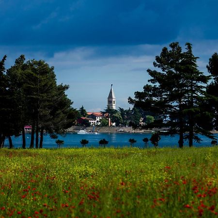 Belvedere Holidays Villas Novigrad  Zewnętrze zdjęcie