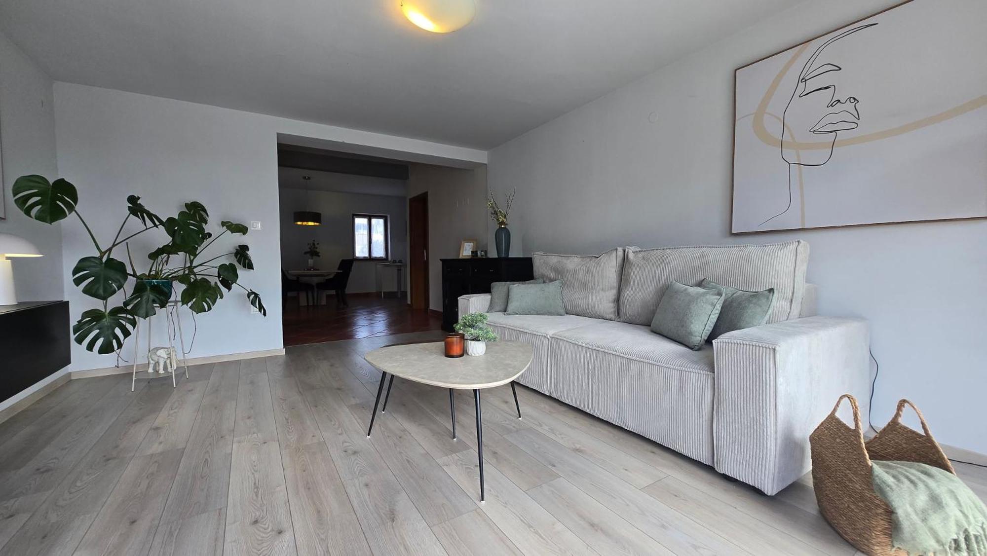 Belvedere Holidays Villas Novigrad  Zewnętrze zdjęcie